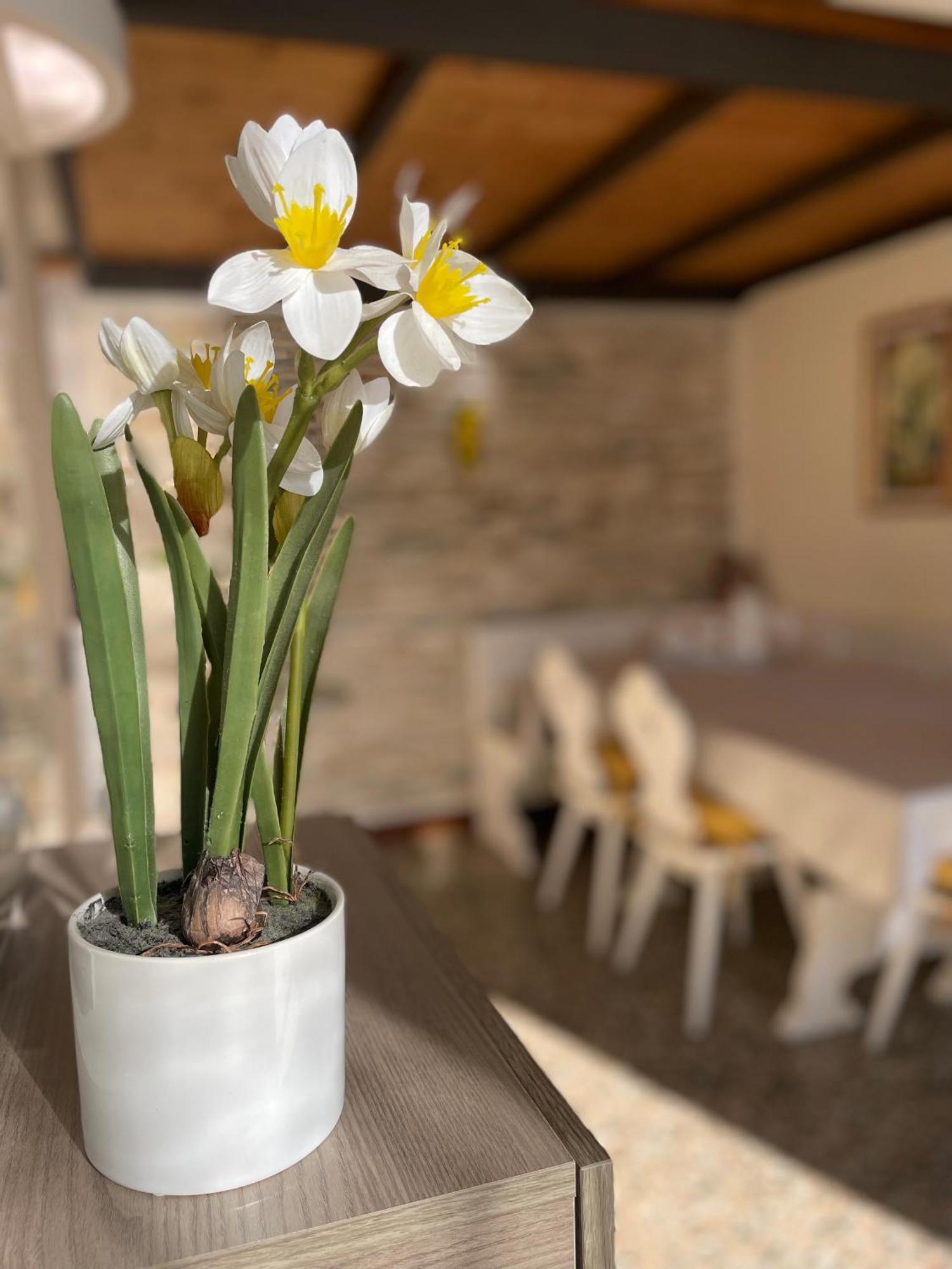 Elena Casa Turistica Apartman Padova Kültér fotó